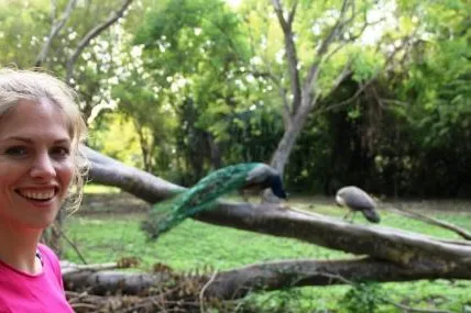Bild: 8.Tier: Ein Vogel mit Stolz und Anmut