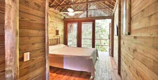 Urlaub im Baumhaushotel in Brasilien Bild: Urlaub im Baumhaushotel in Brasilien