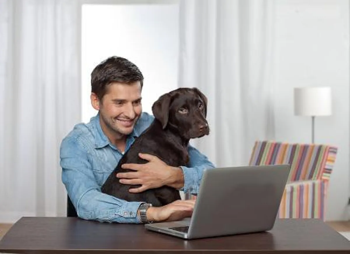 Das E-Procurement-Portal ISMarket (Intersource) heißt ab 2013 'citkoMarket'