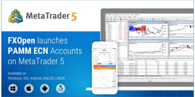 Bild: FXOpen gibt Einführung von PAMM ECN-Konten auf MetaTrader 5 bekannt