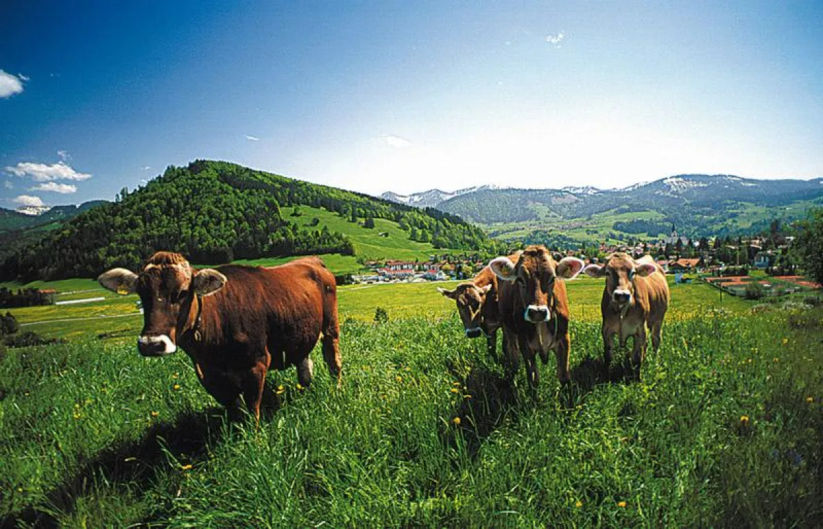 Oberstaufen ohne Nebenkosten: Freizeitspass für die ganze Familie