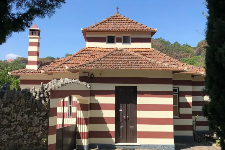 Zurück zur Normalität: Nach den Waldbränden im Serra de Monchique Bild: Zurück zur Normalität: Nach den Waldbränden im Serra de Monchique