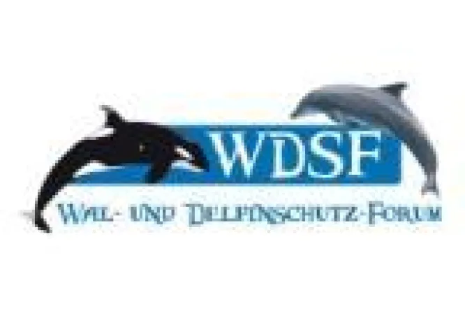 Bild: DIE BUCHT – Premiere 2.10. in Hamburg - Kinofilmstart 22.10.2009 – Interviews mit Ric O’Barry und WDSF