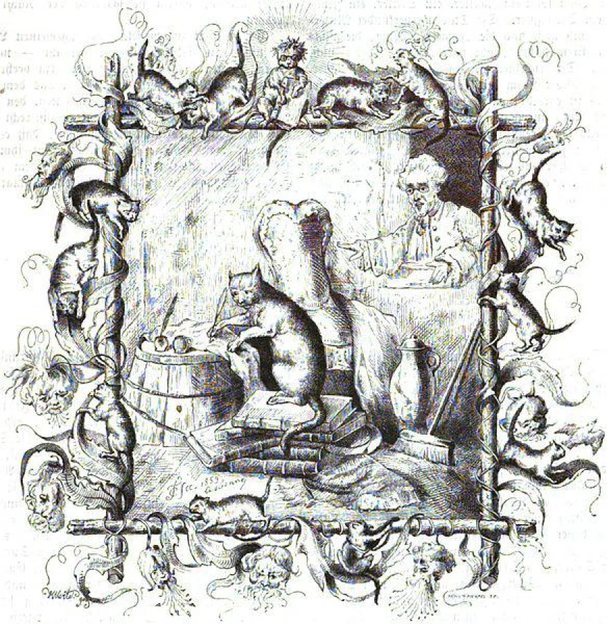 Multitalent und -tasker