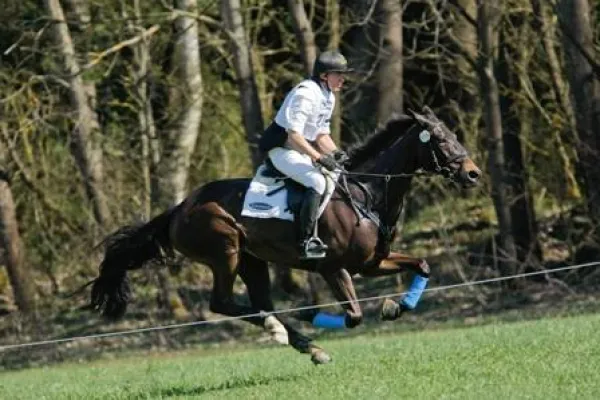 Bild: Kreuther Frühling: Olympiareiter hautnah verfolgen