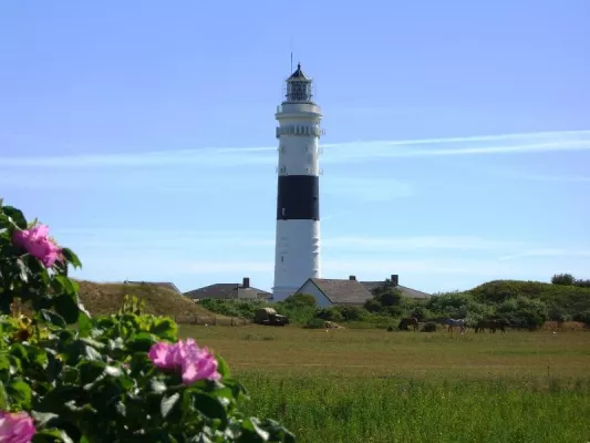 Bild: Urlaub an der Nordsee – frische Seeluft, Natur und Meer