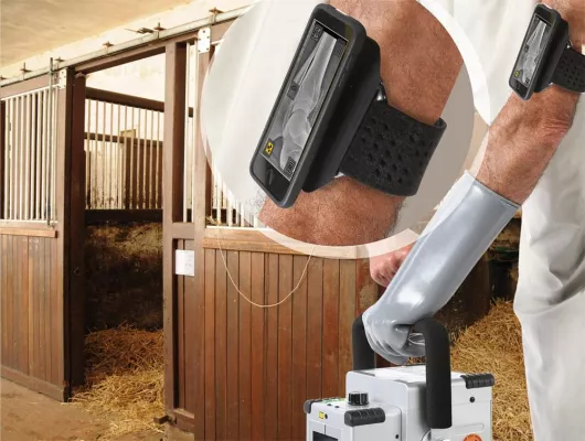 Bild: Mit Oehm und Rehbein dicomPACS®DX-R Remote Control sofortige Bildkontrolle während des Röntgenvorgangs