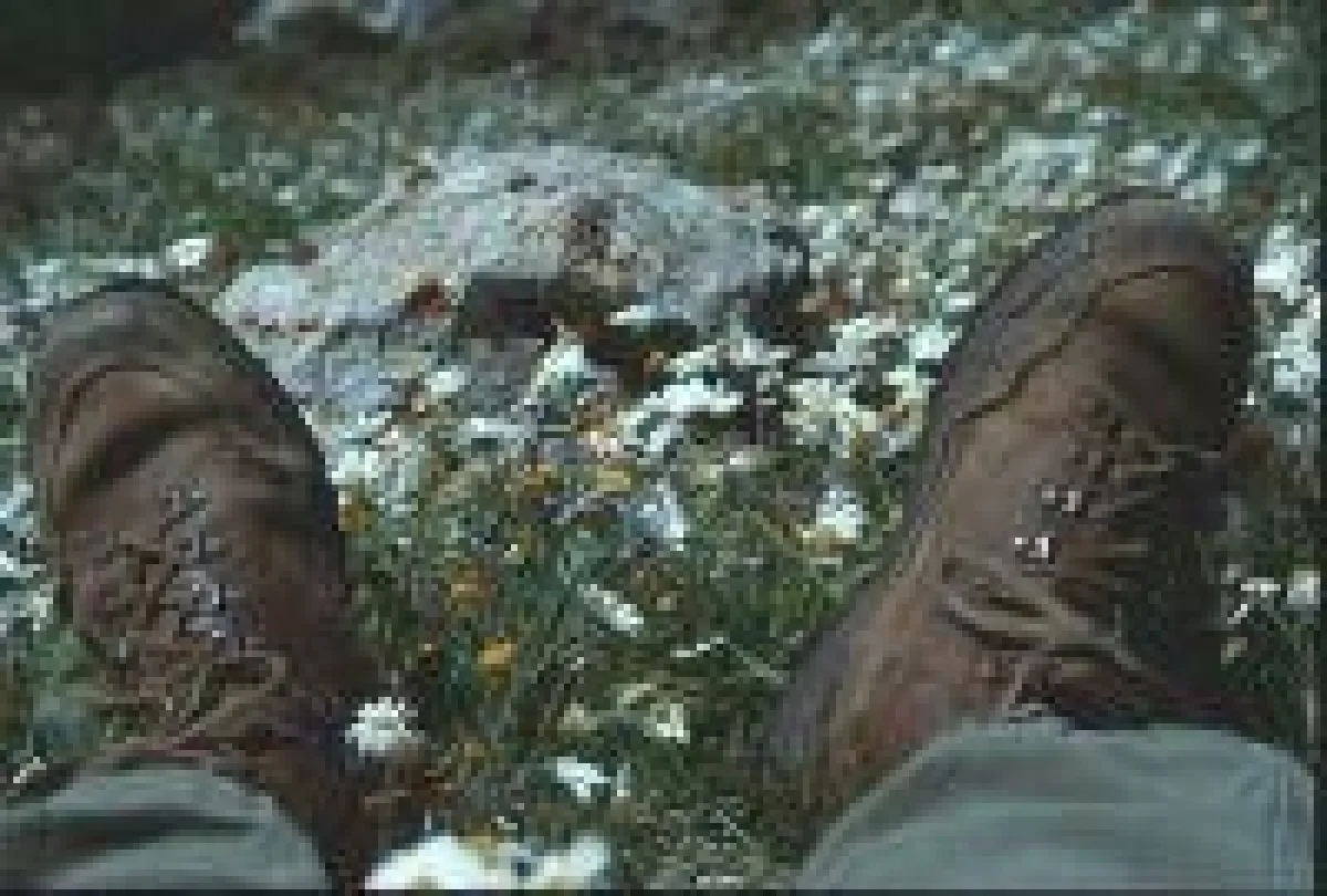 BU: Wanderschuhe, Foto: Wikinger Reisen. Abdruck honorarfrei, bitte nur mit Quellenangabe. Foto senden wir gern in hoher Auflösung zu, bitte per Mail bei der Pressestelle anfordern.