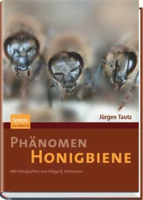 Bild: Buchempfehlung "Phänomen Honigbiene" von Prof. Dr. Tautz, beegroup Würzburg