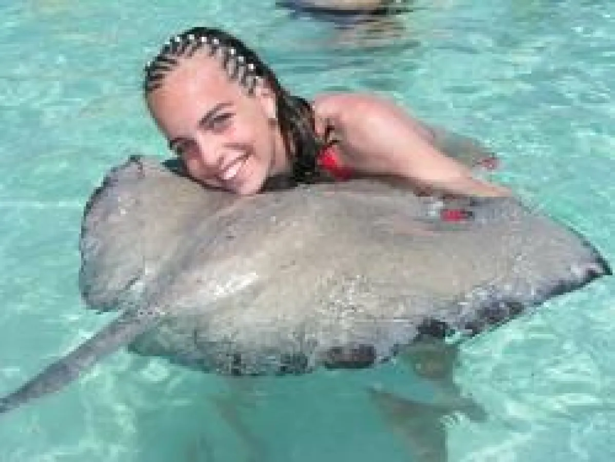Die Karibik bietet tolle Abenteuer für Familien - Baden mit Rochen bei Stingray City auf Antigua