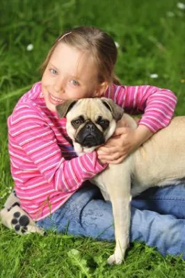 Hund, Katze, Kind - Wie Eltern Kind und Vierbeiner aneinander gewöhnen Bild: Hund, Katze, Kind - Wie Eltern Kind und Vierbeiner aneinander gewöhnen