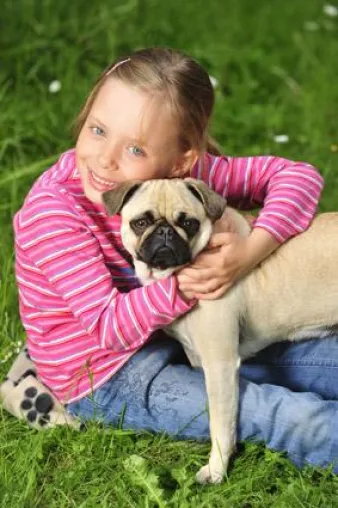 Bild: Hund, Katze, Kind - Wie Eltern Kind und Vierbeiner aneinander gewöhnen