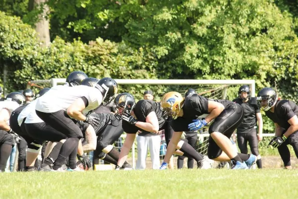 Bild: Nach nur drei Monaten Bestehen begeistern die Ravens mit Football-Showtraining