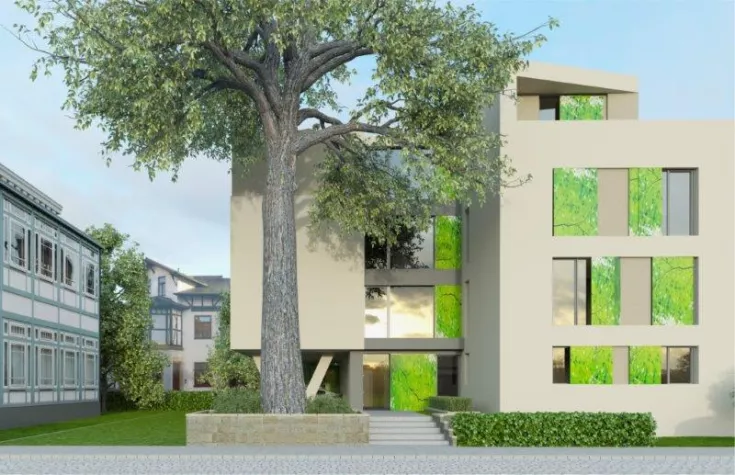 Bild: Baumkrone statt Richtkrone