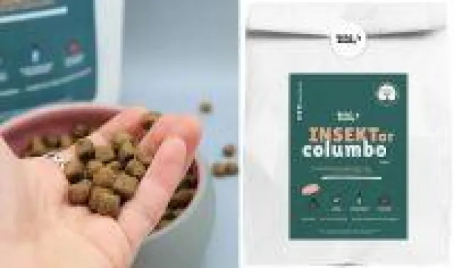 Bild: BegBuddy INSEKTor columbo - Vollwertiges Hundefutter aus Insektenlarven schützt Tierwohl und Natur