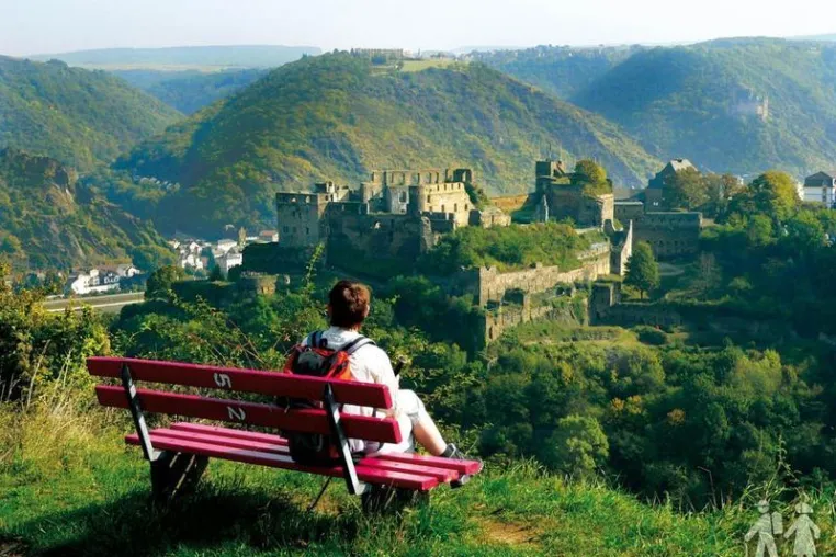 Bild: Herbstwanderung auf dem Rhein-Burgen-Weg zwischen Rolandseck und Bingen