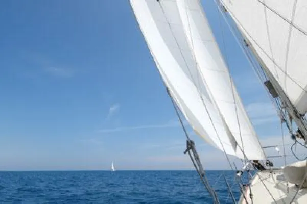 Bild: Vom Nutzen einer guten Ausbildung: Der Universitätslehrgang „GmbH-Geschäftsführung für Führungskräfte“