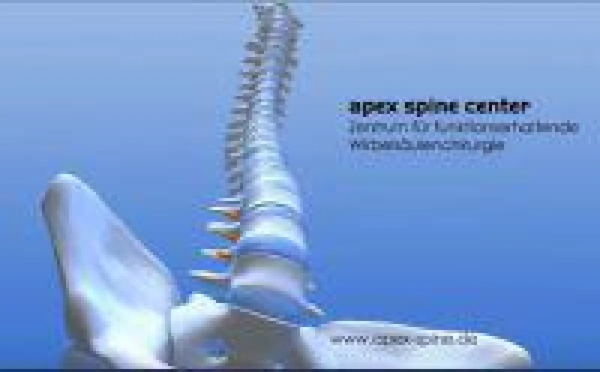 Apex-Spine