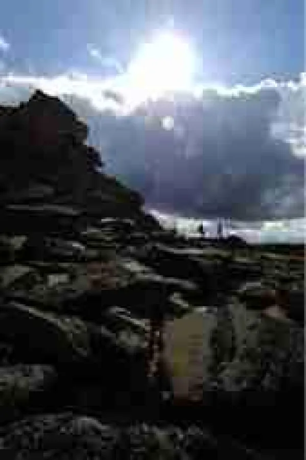 (c) Jogging Fossil Cliffs