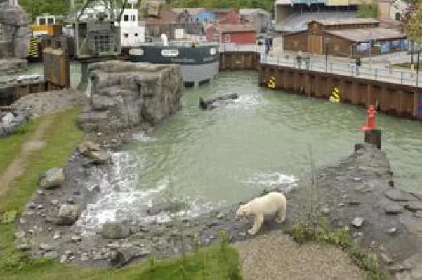 Bild: Yukon Bay, Feuerwerk und Strandfeeling