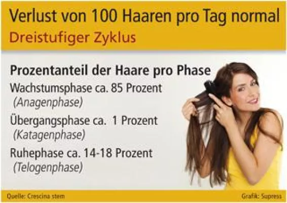 Bild: Natürlicher Haarwechsel oder Haarausfall