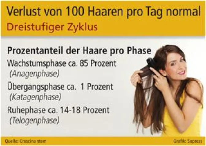 Bild: Natürlicher Haarwechsel oder Haarausfall