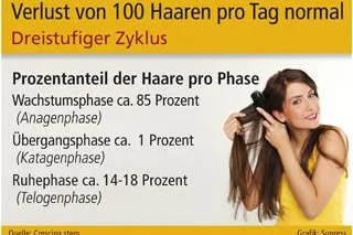 Bild: Natürlicher Haarwechsel oder Haarausfall