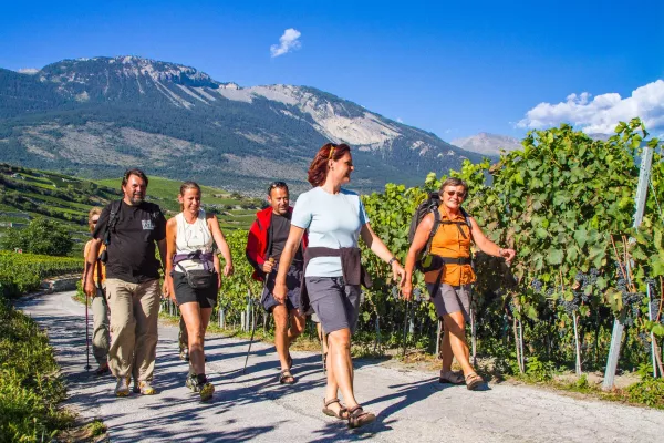 Bild: 10 Jahre VinoVia WeinWanderreisen
