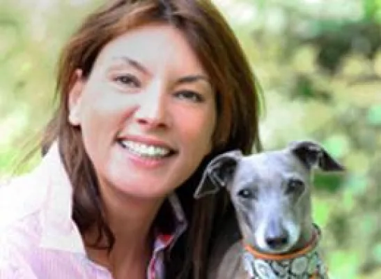 Bild: WIld dogs - wilde Hunde?