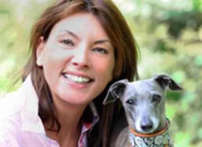 Bild: WIld dogs - wilde Hunde?