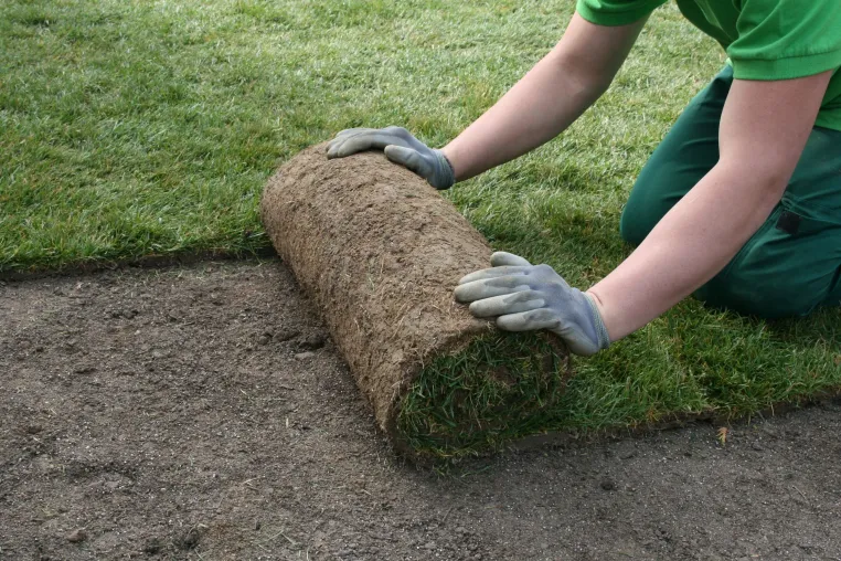 Bild: Spiegl Gartenbau GmbH – Aufstrebender Garten- und Landschaftsbaubetrieb aus München Ost setzt neue Maßstäbe