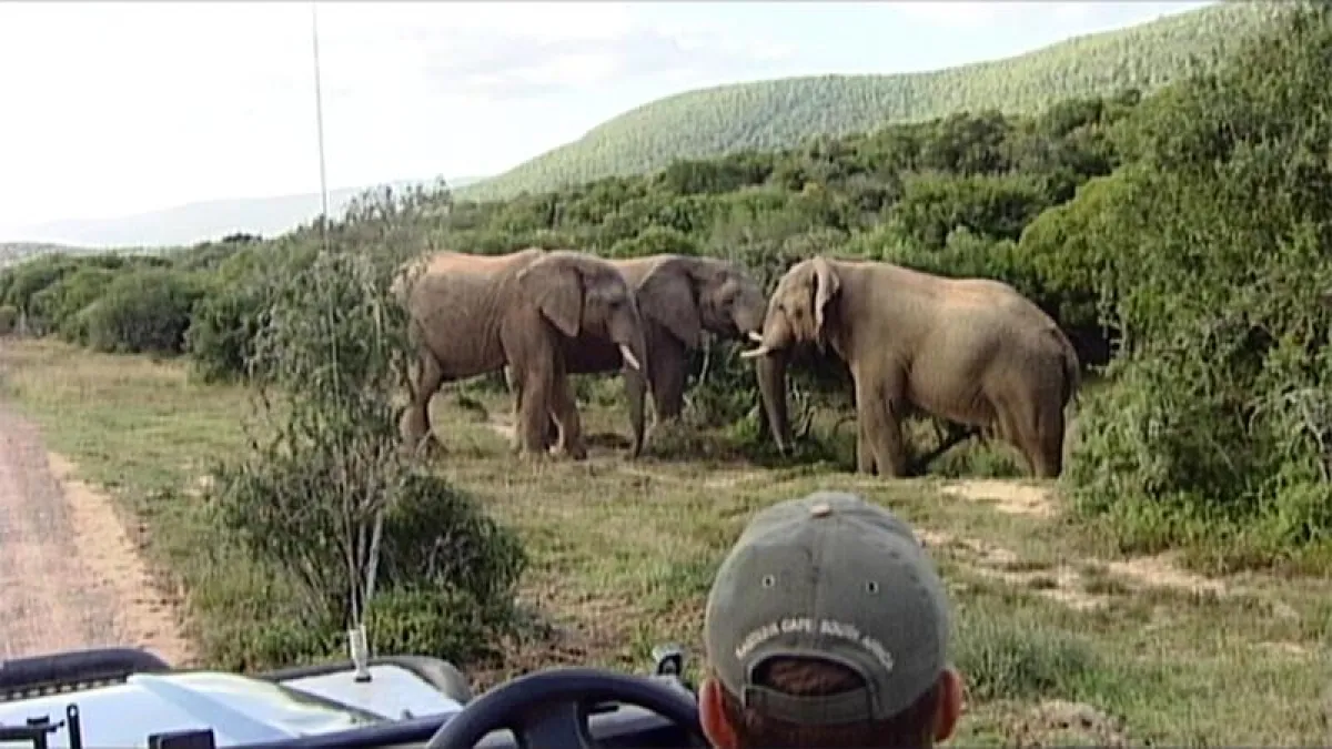 Szenenphoto einer Reportage aus Südafrika