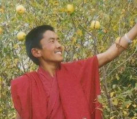 Bild: Sechs Festnahmen und eine Verurteilung in der Präfektur Ngaba in Osttibet