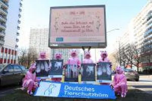 Die Schweine sind los! - Plakate mit "Neuen Bauernregeln" des Deutschen Tierschutzbüros hängen nun in B Bild: Die Schweine sind los! - Plakate mit "Neuen Bauernregeln" des Deutschen Tierschutzbüros hängen nun in B