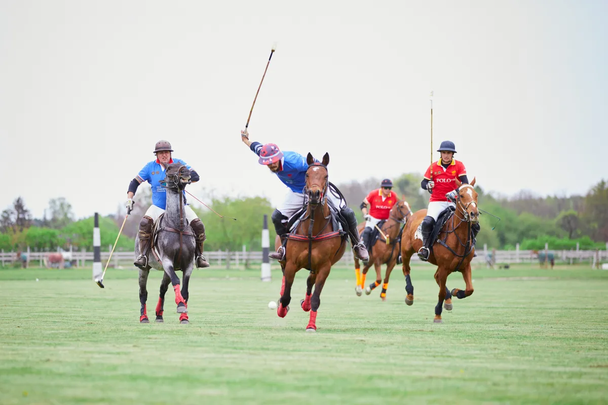 PoloPark Berlin veranstaltet die Deutsche Low Goal Meisterschaft (© Baltic Polo Events GmbH)