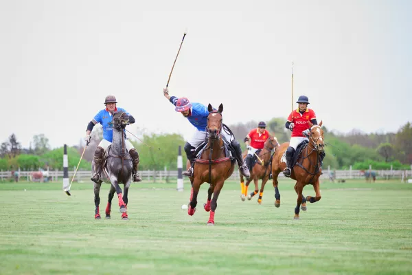 Bild: Deutsche Low Goal Polo Meisterschaft - 16. - 18.06.2023 im PoloPark Berlin