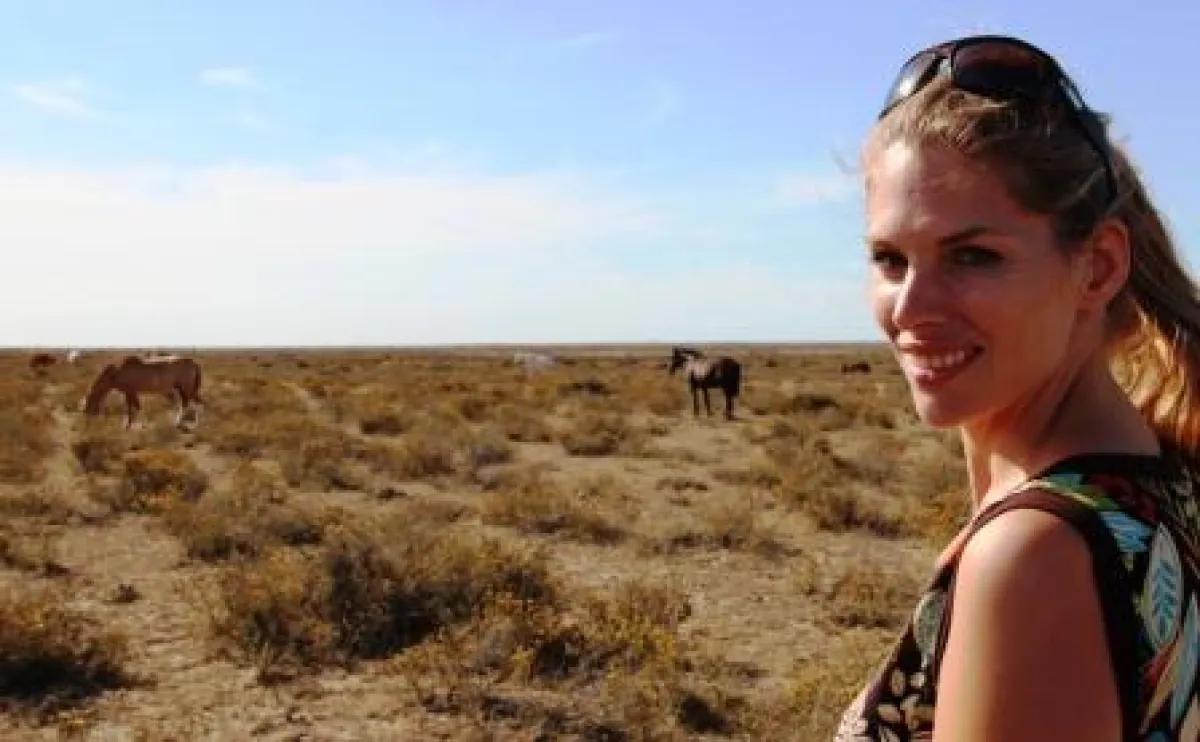 Unglaublich schön und wild - die frei lebenden Pferde in der Pampa in Argentinien.