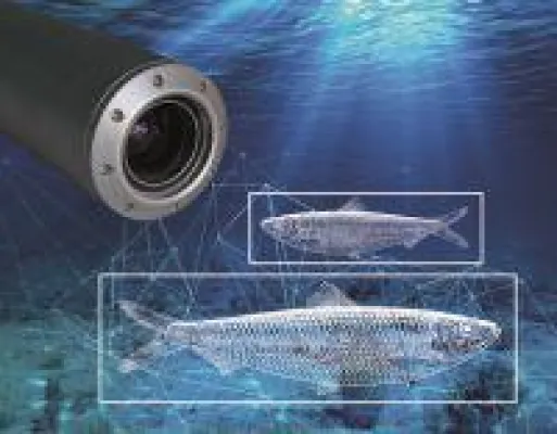 Bild: Oceanology International 2018: Mit smarter Kamera zu neuer Qualität von Unterwasser-Aufnahmen