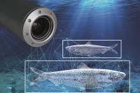 Bild: Oceanology International 2018: Mit smarter Kamera zu neuer Qualität von Unterwasser-Aufnahmen