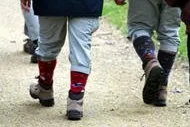 Frisch Auf! in die Dübener Heide: Osterwanderung durch die reizvolle Frühlingslandschaft Bild: Frisch Auf! in die Dübener Heide: Osterwanderung durch die reizvolle Frühlingslandschaft