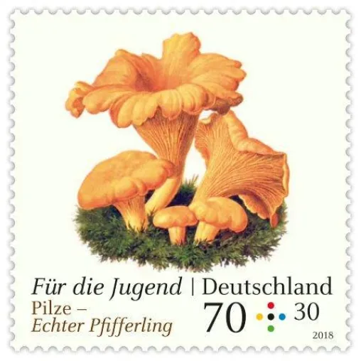 Bild: Pilz-Motive als Glücksbringer für eine Jugend mit Chancen