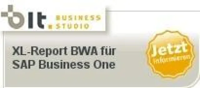Bild: Bautzen IT.Solutions GmbH mit BWA als Erweiterung der Finanzberichte in SAP Business One