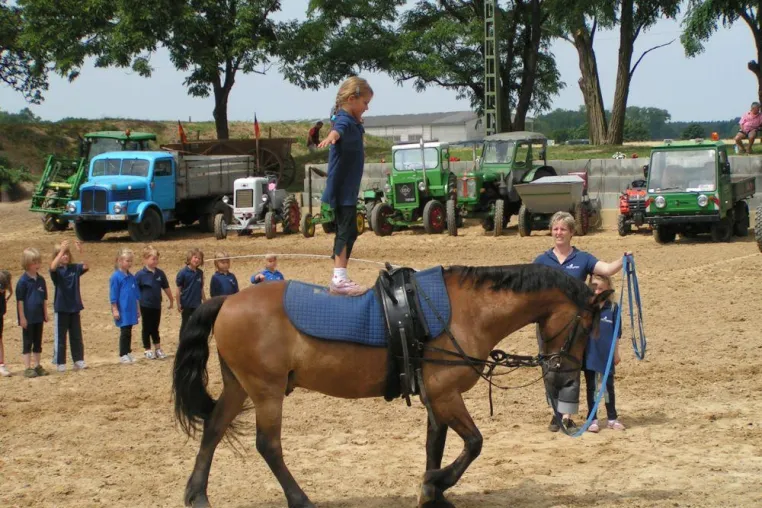 Bild: Erfolgreiche Bauernolympiade auf der Reitanlage Buch