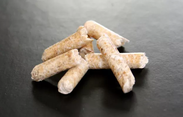 Studie: Hohes CO2-Einsparpotenzial bei Einfamilien- häusern - Pelletheizungen schonen Klima und Geldbeutel Bild: Studie: Hohes CO2-Einsparpotenzial bei Einfamilien- häusern - Pelletheizungen schonen Klima und Geldbeutel