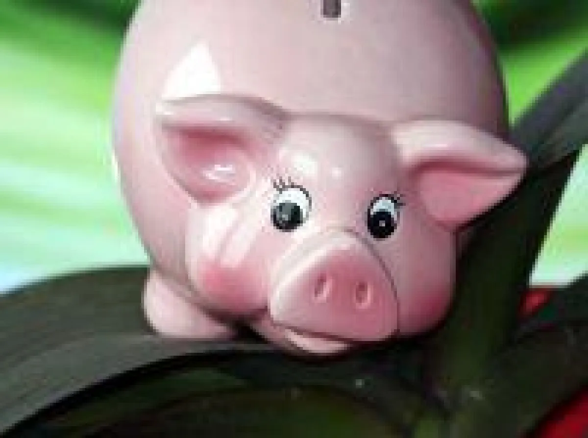 Geldtipp: Erneuerbare Energien