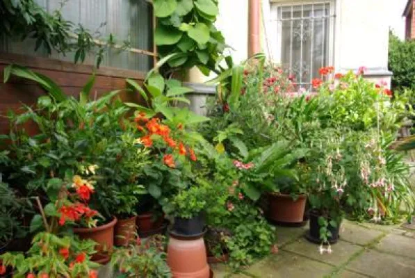 Bild: Preisverleihung für die Sieger des Wettbewerbs Landesgartenschaustadt Reichenbach