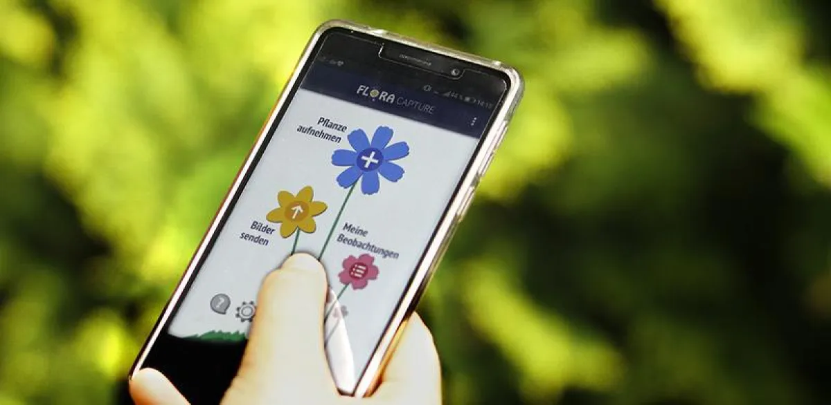 Flora Incognita - Pflanzenbestimmung mit Smartphone (© TU Ilmenau)