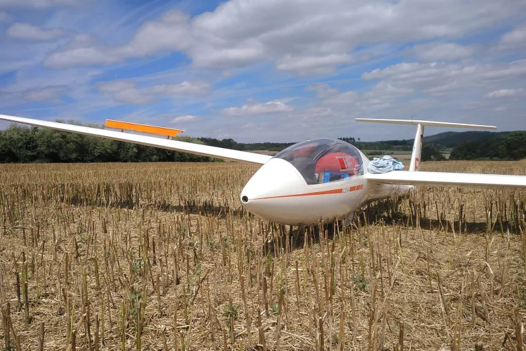 Bild: Segelflieger auf dem Feld: Not- oder Außenlandung? 