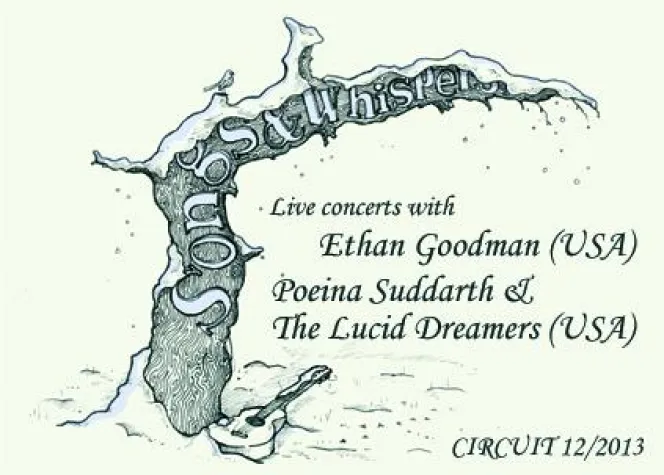 Bild: Subtile Rotzigkeit und feinsten Pop aus den USA bringt der "SONGS & WHISPERS " CIRCUIT 12/2013