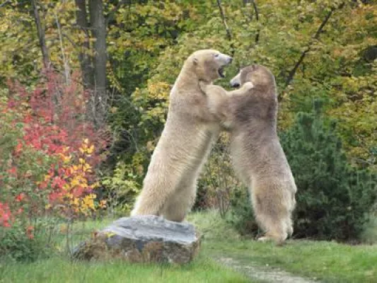 Bild: Erlebnis-Zoo Hannover begrüßt Winterzeit